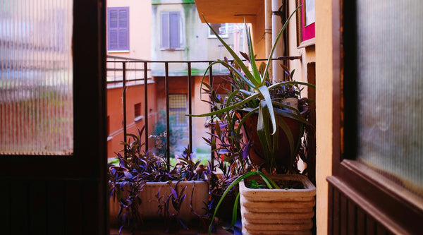 What Hummingbird Products Work Best on a Small Patio or Balcony?