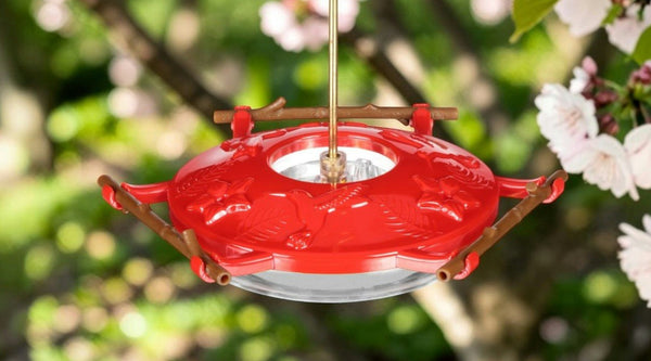 AspenPerch® vs. a Standard Saucer Feeder: Why Comfort Changes Everything