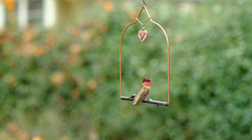 Where to Hang your Hummingbird Swing