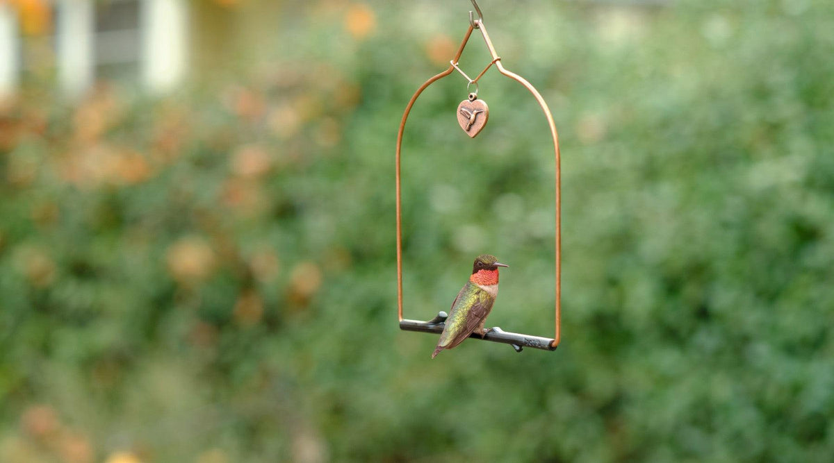 Where to Hang a Hummingbird Swing: Placement Guide