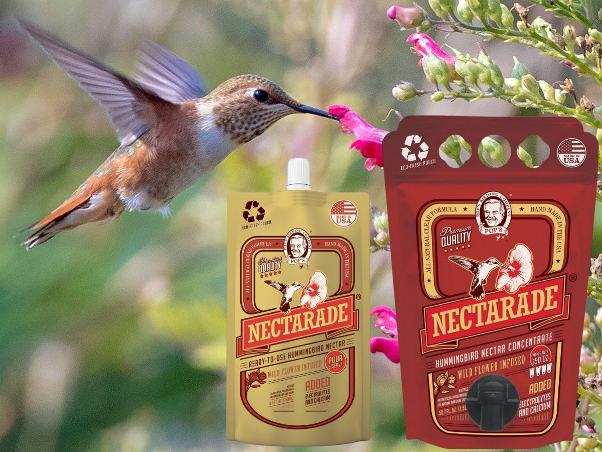 Pop's Nectarade liquid hummingbird nectar pouches with a hummingbird feeding at a flower