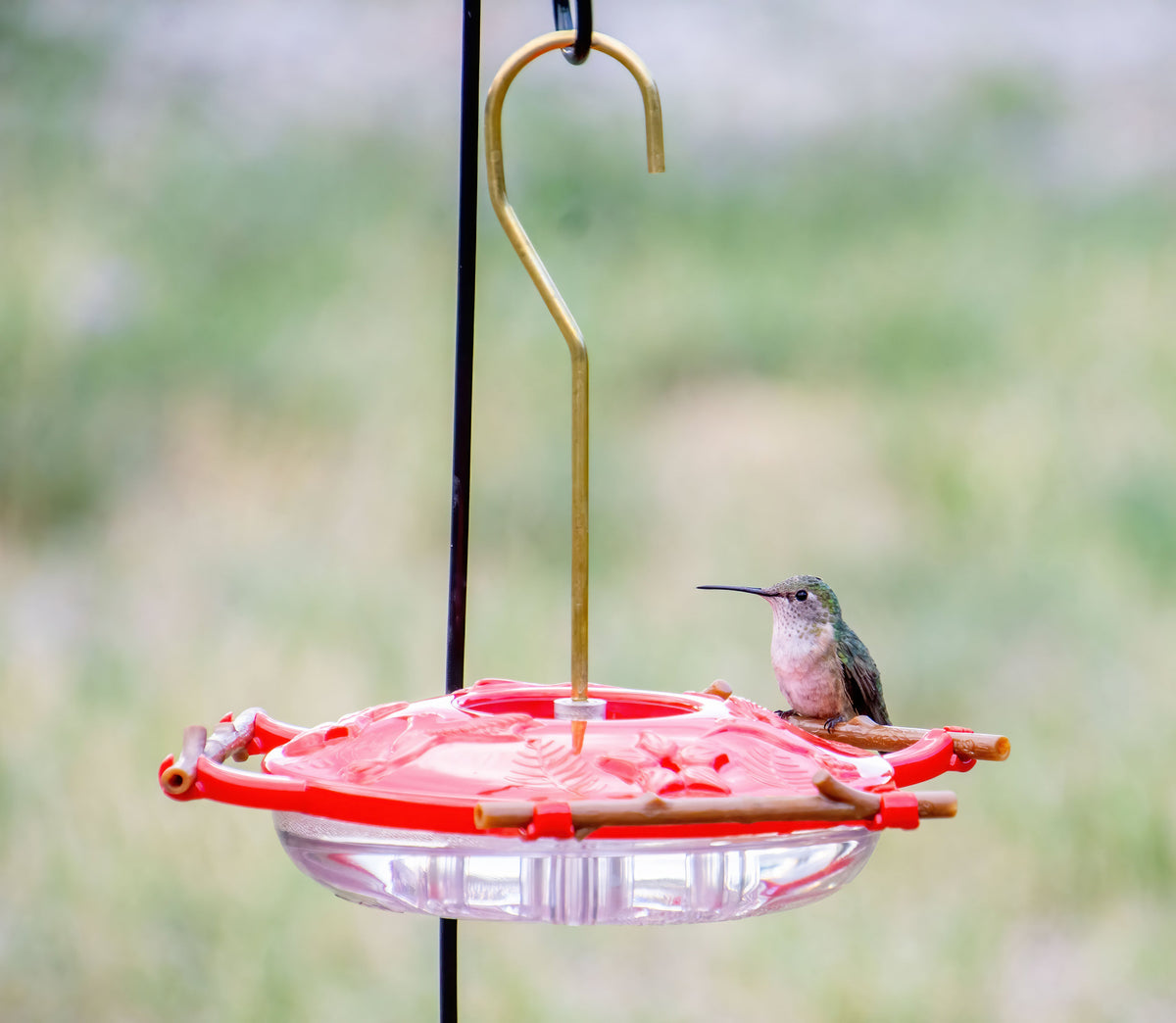 Hummingbird Feeders — USA-Made, Built for Easy Feeding
