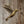 Hummingbird Charm, Brass