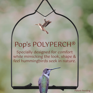 Hummingbird Haven Bundle, Charm Swing Onyx Bird