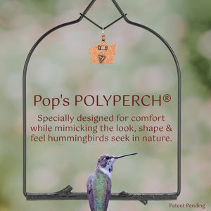 Hummingbird Haven Bundle, Charm Swing Onyx Home