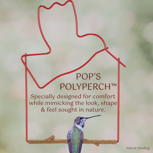 Pop's Birding - Craft Hummingbird Swing, Bird (Case of 12ct) - Case Pack (12ct)