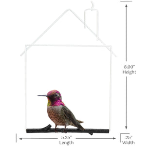 Pop's Birding - Craft Hummingbird Swing, House (Case of 12ct) - Case Pack (12ct)