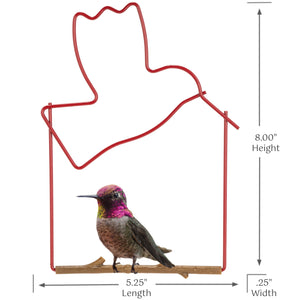 Pop's Birding - Craft Hummingbird Swing, Bird (Case of 12ct) - Case Pack (12ct)