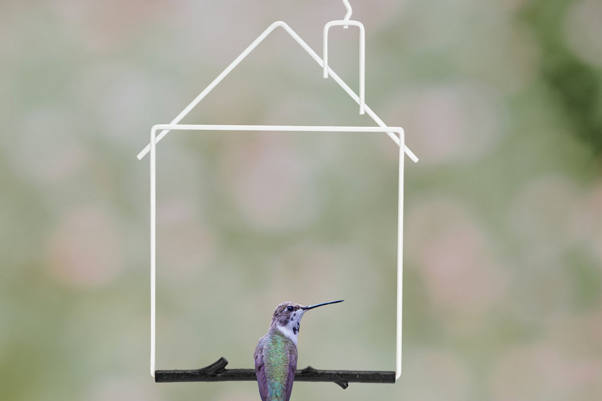 A hummingbird perched on the white house-shaped Craft Series swing with a black branch perch
