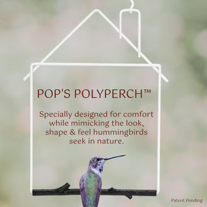 Pop's Birding - Craft Hummingbird Swing, House (Case of 12ct) - Case Pack (12ct)