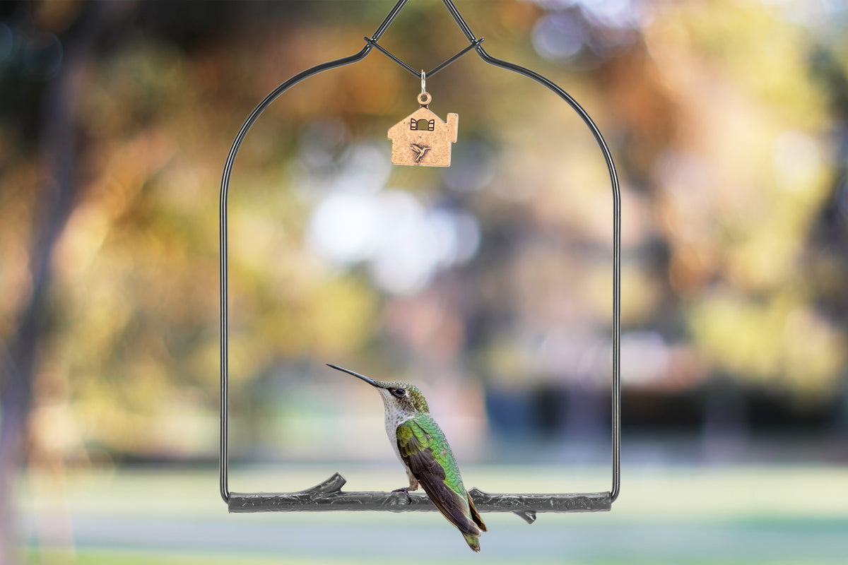 A hummingbird perched on the Onyx Charm Series swing with a copper house-shaped Home charm
