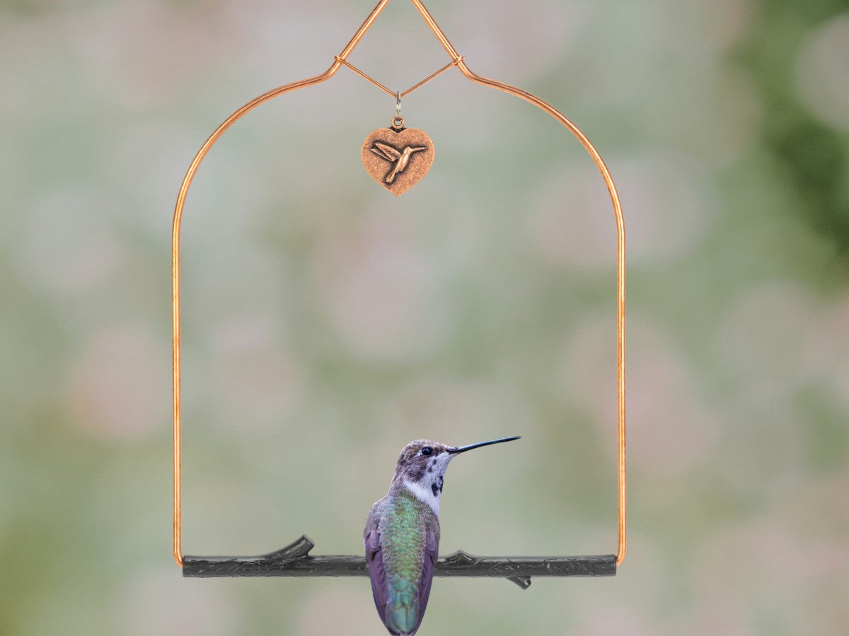 A hummingbird perched on the Copper Series swing with heart charm and black Rustic perch
