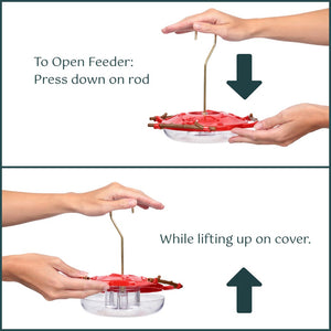 Hummguard™ Hummingbird Feeder, 8 oz + 12 Nectar Tips