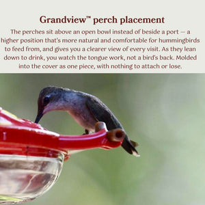 AspenPerch® Hummingbird Feeder, 8 oz