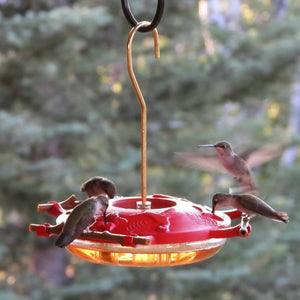 AspenPerch™ Hummingbird Feeder, 8 oz