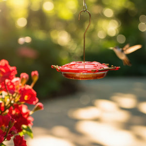 AspenPerch® Hummingbird Feeder, 8 oz