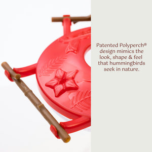 Pop's AspenPerch™ Hummingbird Feeder, 8 oz