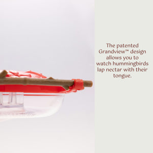 Pop's AspenPerch™ Hummingbird Feeder, 8 oz