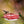 Haven Bundle: Feeder + Swing