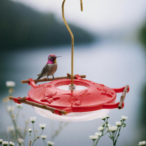 Pop's AspenPerch™ Hummingbird Feeder, 8 oz