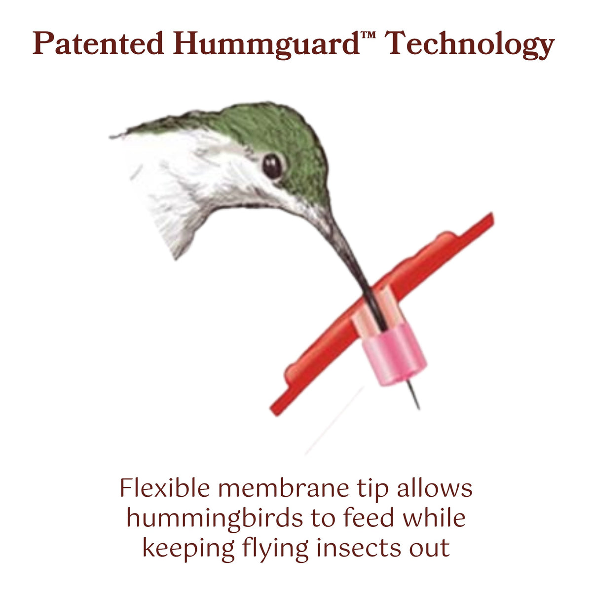 Illustration of a hummingbird's beak passing through a Hummguard® tip's flexible membrane