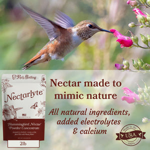 A hummingbird feeding at a pink flower above a 2 lb Nectarlyte bag; made to mimic nature