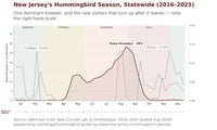 New Jersey hummingbird timing chart