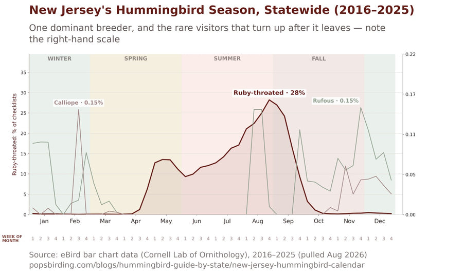 New Jersey hummingbird timing chart