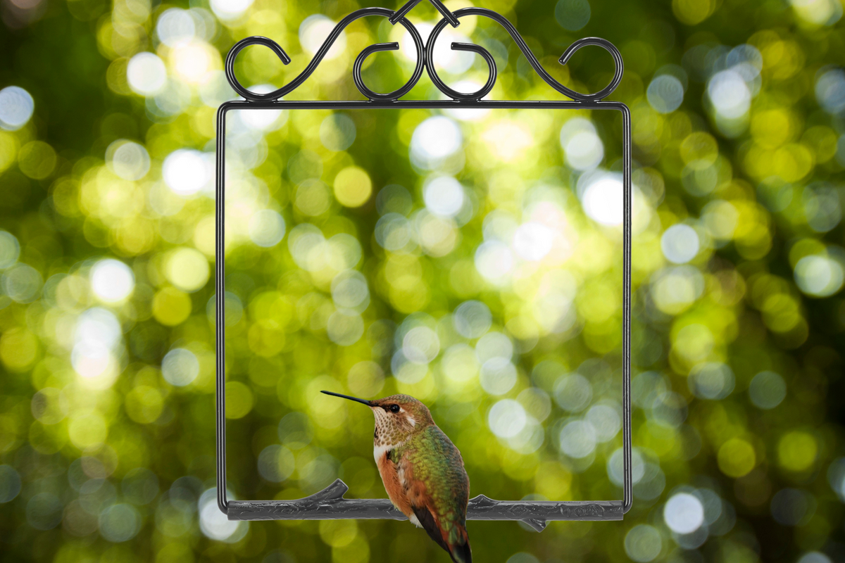 A hummingbird perched on the Onyx Original Series swing with scrollwork top, against green leaves