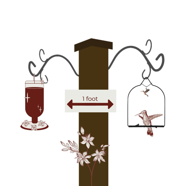 How to hang and care for your Charm Series Hummingbird Swing — Onyx Bird Charm