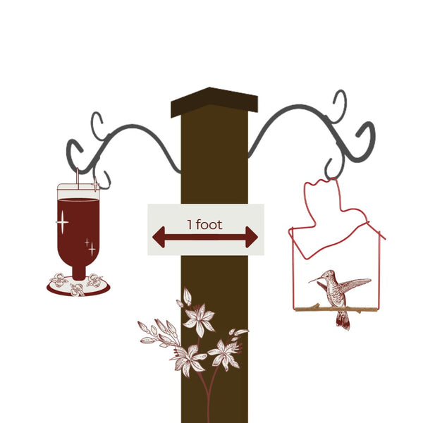 How to hang and care for your Craft Series Hummingbird Swing, Red Bird