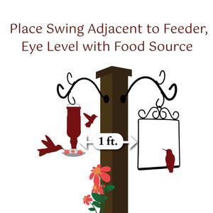 Pop's Birding - Craft Hummingbird Swing, Bird (Case of 12ct) - Case Pack (12ct)