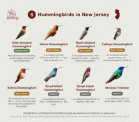 All 8 types of hummingbirds in New Jersey, grouped by how common each is — from Ruby-throated Hummingbird down to the state's historic Broad-tailed and Mexican Violetear hummingbird timing chart