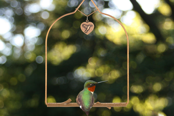 A ruby-throated hummingbird perched on a Pop's Copper Series swing with a heart charm, Big Bend, Texas