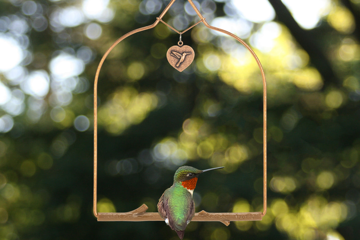 A hummingbird with a red throat perched on the Copper Series swing with heart charm and brown Bark perch