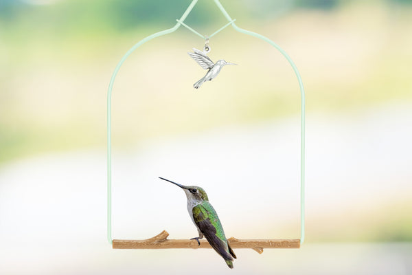 A hummingbird perched on a Pop's Charm Series swing in Vintage Copper with a hummingbird charm, Grand Junction, Colorado