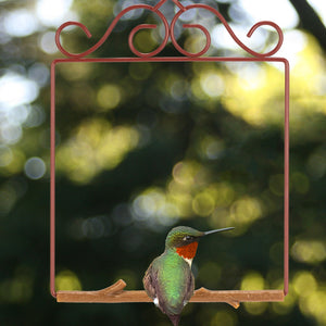 Original Swing, Redwood