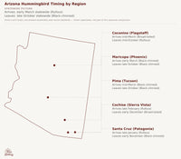 Arizona hummingbird timing chart