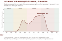 Chart showing Ruby-throated Hummingbird's season in Arkansas — arriving late March, peaking near 38% of eBird checklists in September, and leaving by late October. hummingbird timing chart