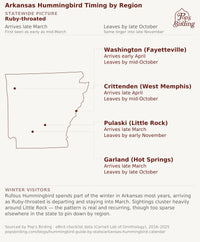 Map showing when hummingbirds arrive and leave in each Arkansas region — Pulaski County (Little Rock) holds birds longest, into early November; Garland (Hot Springs) lingers into late October; Washington and Crittenden clear out a bit earlier, by mid-October; Rufous Hummingbird winters over in small numbers concentrated around Little Rock. hummingbird timing chart