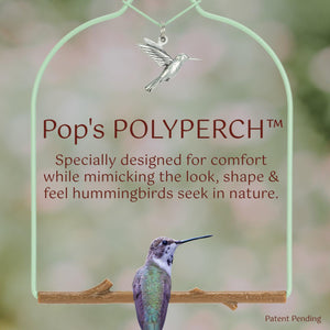 Pop's Birding - Charm Hummingbird Swing (Case of 12ct) - Redwood / Case Pack (12ct)