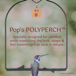 Pop's Birding - Charm Hummingbird Swing (Case of 12ct) - Redwood / Case Pack (12ct)