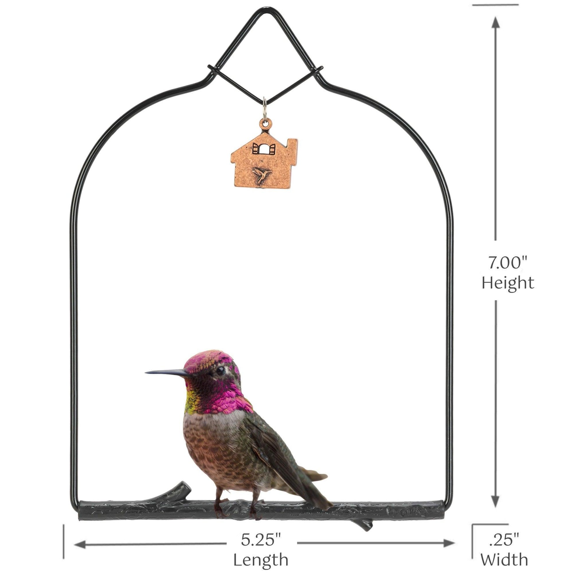 Charm Onyx Hummingbird Swing - Pop's Birding