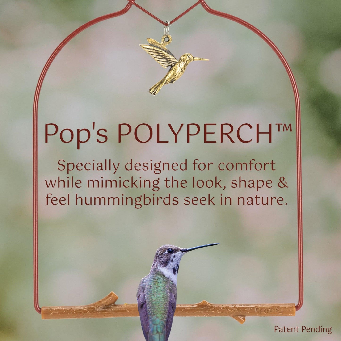 Charm Redwood Hummingbird Swing - Pop's Birding