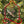 Charm Ornament, Wonder Red