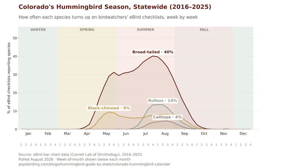 Chart showing Colorado's four hummingbird species by week, statewide, 2016-2025, with Broad-tailed peaking at 40% in July, Rufous at 14% in August, Black-chinned at 9% in May, and Calliope at 4% in August hummingbird timing chart