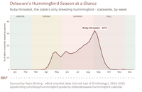 Line chart of Ruby-throated Hummingbird reports in Delaware by week, statewide, 2016–2025. Reports rise through April, hold between about 11% and 15% through May and June, climb through July and August to the year's peak of 32% in the first week of September, then fall away by mid-October. hummingbird timing chart
