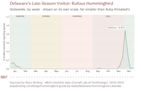 Line chart of Rufous Hummingbird reports in Delaware by week, statewide, 2016–2025, shown on its own scale. Reports appear in mid-November, peak at 0.9% of checklists in the first week of December, and a few continue through January. The species is essentially absent the rest of the year. hummingbird timing chart