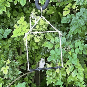 Hummingbird Haven Bundle, Craft Swing White House