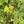 Pop's Birding - Craft Hummingbird Swing, Bird (Case of 12ct) - Case Pack (12ct)